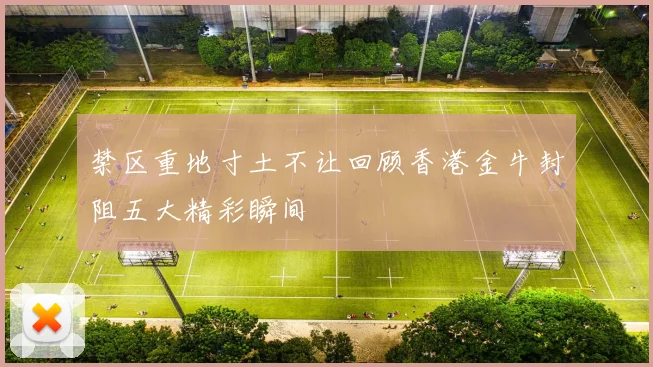 禁区重地寸土不让回顾香港金牛封阻五大精彩瞬间