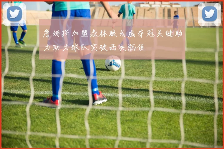 詹姆斯加盟森林狼或成夺冠关键助力助力球队突破西决瓶颈